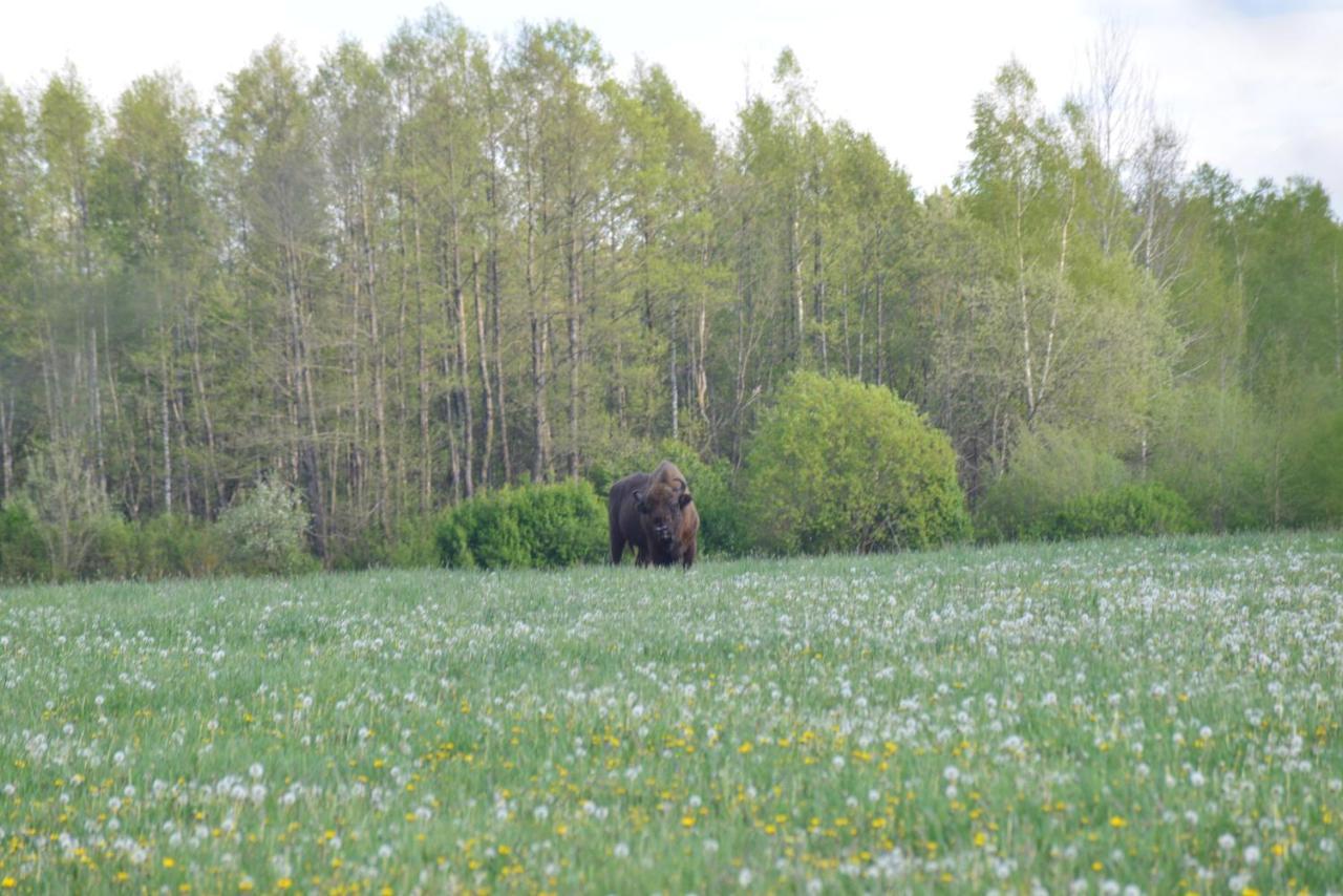 Ciche Podlasie Siemianowka Extérieur photo
